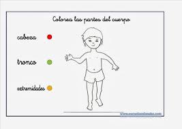 Conocimiento Del Medio Social Y Cultural Partes Del Cuerpo Humano Cuerpo Humano Para Ninos El Cuerpo Humano Infantil