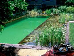 La Piscine Naturelle