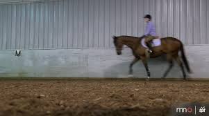 Artist Day Jobs Choreographer Denise Armstead Trains Dancers And Horses Twin Cities Pbs Share the best gifs now >>>. tpt