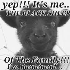 I Might Be The Black Sheep Of The Family But Im The One You Call I M The Black Sheep Of The Family Black Sheep Of The Family Black Sheep Quotes Black Sheep