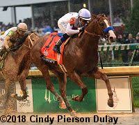 2018 Preakness Entries