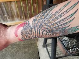 2 w x 1.7 h. Lion Fish Tattoo Album On Imgur