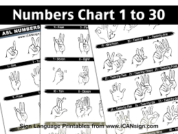 american sign language numbers 1 to 30 baby sign language