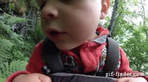 Since the web has a seemingly unlimited supply of free animated gifs, you might as well use some of them to enhance your video project. Bad Parenting Find And Share Funny Animated Gifs