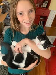 Kittens at the shelter plus Lo & Oreo! 🐈‍⬛🐾❤️ Then there's some Peanut  🥜🐱& Dora 🐈‍⬛🐾