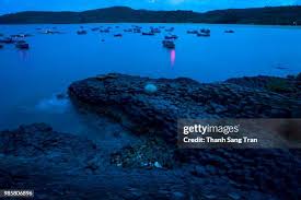 631 Tran The Thanh Than Stock Photos, High-Res Pictures, and Images