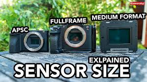 Does Camera Sensor Size Matter