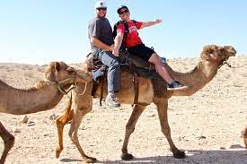 And he rides his bike to work every day. Why You Should Never Ride A Camel Halfway Anywhere