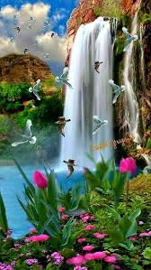 Pin By Jose Marques On Flores In 2020 Beautiful Photography Nature Beautiful Nature Wallpaper Waterfall Wallpaper