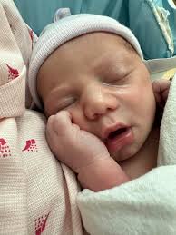 Hello group This is our baby boxer her name is Island 😍