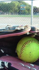 Dozen Photo Challenge