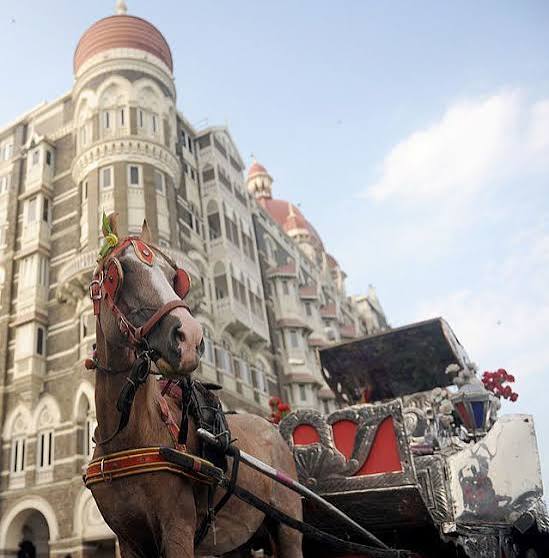 Mumbai to get cruelty-free Victoria carriages this month | Condé Nast Traveller India