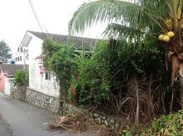 Batang berlilit ➡ pokok seri pagi,pokok kacang panjang. Terrace For Auction At Taman Seri Pagi Senawang Land