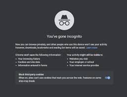 Your browser history is stored just like everything else on your computer, as a file (or collection of files). How To Check Incognito History And Delete It In Google Chrome Geeksforgeeks