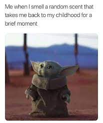 Actually, it's a baby belonging to the same species which, up until now, is still a mystery. 30 Baby Yoda Memes To Save You From The Dark Side Bored Panda