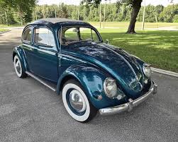 Image result for Dark Blue 1950 Beetle