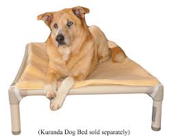 Amazon Com Kuranda Dog Bed Double Sided Luxury Fleece Pad 44 X 27 Xl Pet Beds Pet Supplies Kuranda Dog Beds Covered Dog Bed Dog Bed Large