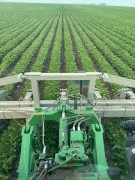 Image result for tbn:cRxpWML3C6TQFM::farm3.static.flickr.com/2382/2420623259_e3c8cd4fd8.jpg