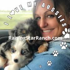 Raising Star Ranch Toy and Mini Aussies
