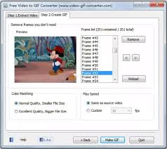 10 Best Convert Video Between Gif Software High Quality