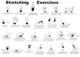 whole body stretching routine sports science co