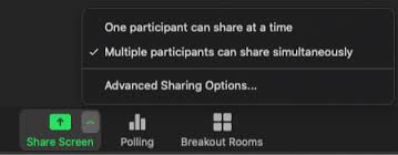 A zoom webinar, however, is like a virtual lecture hall where participants watch and listen to. Zoom Co Host Role By Ativ Software