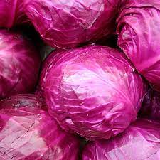 Pengatur tumbuh yang dapat merangsang perpanjangan. Bibit Benih Tanaman Kubis Merah F1 20 Biji Sayur Sayuran Hidroponik Lazada Indonesia