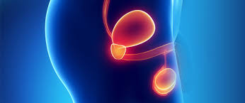 Obviously, they wanted to know how i was getting on, but they didn't know how to. Revisiting Classification In Testicular Cancer What Has Changed Eortc Eortc