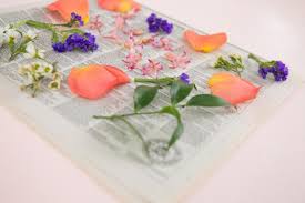 We love this idea of adding a treasured photo of a loved one to your wedding bouquet. How To Press Your Wedding Bouquet Hgtv