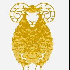 Golden Sheep | Facebook