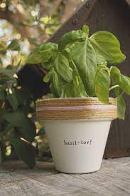 Basil Tov By Plantpuns On Etsy Awesome Gardening Ideas You Need Inspiration About The Garden Means You Right Visit Here S Plant Puns Herb Garden Herbs