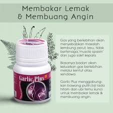 Ia juga digunakan secara tradisional untuk membuang angin yang berlebihan di dalam badan. Sendayu Tinggi Garlic Plus Pil Buang Angin Shopee Malaysia