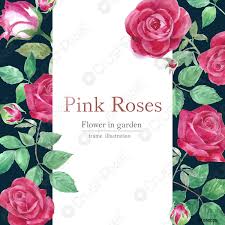 We did not find results for: Fiori Rosa Acquarello Cornice Bella Arredamento Wedding Card Invito Disegno Vettore Stock Crushpixel