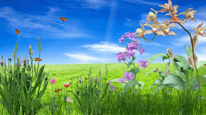 #animated gif #pixel background #animated background. Animated Flower Wallpaper Gif