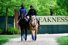 The race is one leg of the american triple crown and is held annually at pimlico race course in baltimore, maryland. Ss8jiunsisykhm