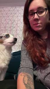 Sarah Poulos Bikos (@sarahbikos)