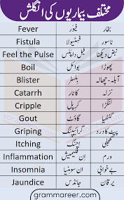 Diseases Names In English With Urdu Meanings Grammareer Good Vocabulary Words English Vocabulary Words Learn English Words