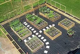 marvelous free vegetable garden planner template to inspire you vegetablebackyardgard backyard vegetable gardens backyard garden layout backyard garden design