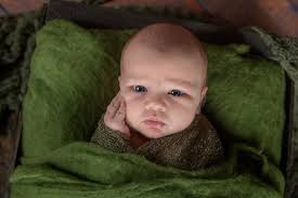 Melanie Wiley Photography, Wellington, CO 80549, US