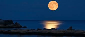 .1/1/2002 απ' ευθείας από τους ίδιους ασφαλισμένους μέσω του διαδικτυακού τόπου του εφκα. Panselhnos Pote Erxetai To Feggari Toy Loyloydioy Aftodioikisi Gr