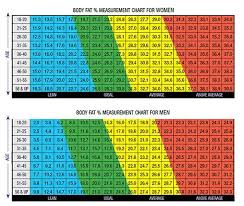 body fat percentage calculator healthy habits hub