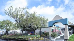 Find tuition info, acceptance rates, reviews and more. Calaveras Montessori School Of Silicon Valley Milpitas Santa Clara Fremont