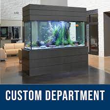In his fish tank + set an example for the other team members in delivering fantastic neighborly service + assist the store's team leaders by reinforcing the daily. Fish Gallery Fish Gallery
