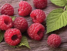 This variety produces abundant crops of large, sweet, dark red berries that are perfect for eating fresh, canning. Raspberries For The Home Garden