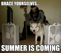 Summer Is Coming Memes Quickmeme
