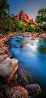 On The Banks Of The Virgin River National Parks Beautiful Places Zion National Park