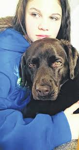 Doggone it, we love 'em! Our readers celebrate canine family members