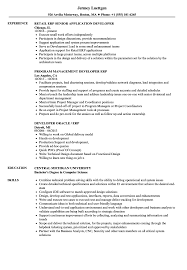 Erp Developer Resume Samples Velvet Jobs