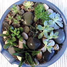 Succulent plants are easy to grow, require little attention, and look adorable. Easy Indoor Succulent Rock Garden Houseful Of Handmade