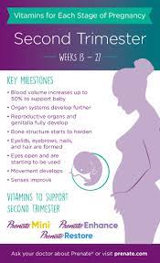 Prenatal Vitamins For Each Stage Of Pregnancy Second Trimester Months 4 To 6 Prenate Vitamin Family